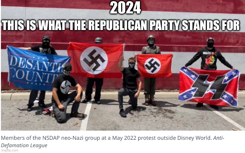 The Republican party | 2024; THIS IS WHAT THE REPUBLICAN PARTY STANDS FOR | image tagged in desantis ron desantis republicans nazis | made w/ Imgflip meme maker