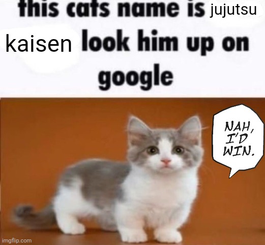 thats it. thats the joke | jujutsu; kaisen | image tagged in this cats name is x look him up on google | made w/ Imgflip meme maker