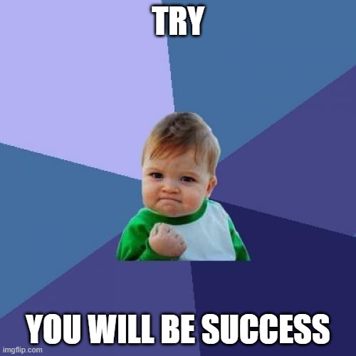 try | TRY; YOU WILL BE SUCCESS | image tagged in memes,success kid | made w/ Imgflip meme maker