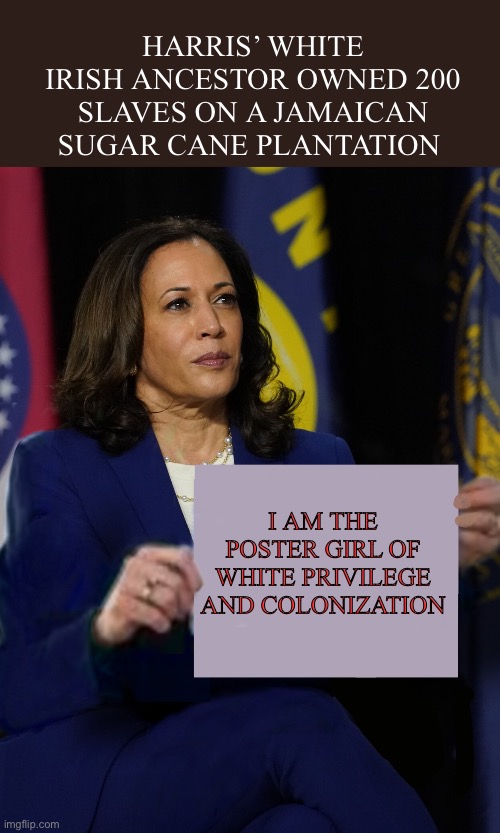 Kamala Harris Holding Sign | HARRIS’ WHITE IRISH ANCESTOR OWNED 200 SLAVES ON A JAMAICAN SUGAR CANE PLANTATION; I AM THE POSTER GIRL OF WHITE PRIVILEGE AND COLONIZATION | image tagged in kamala harris holding sign | made w/ Imgflip meme maker