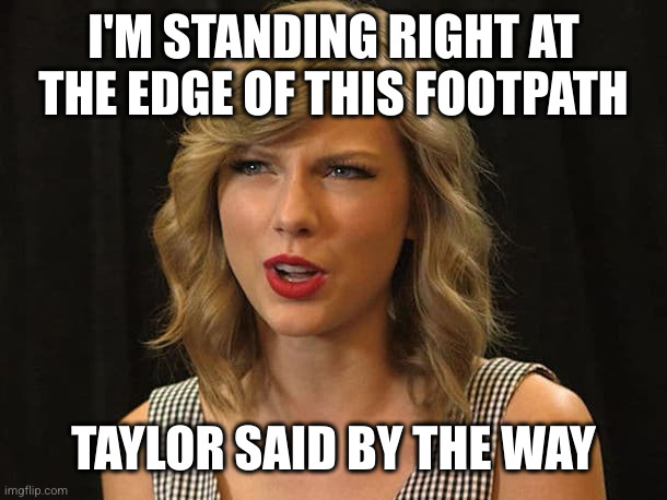 Taylor Swiftie | I'M STANDING RIGHT AT THE EDGE OF THIS FOOTPATH TAYLOR SAID BY THE WAY | image tagged in taylor swiftie | made w/ Imgflip meme maker