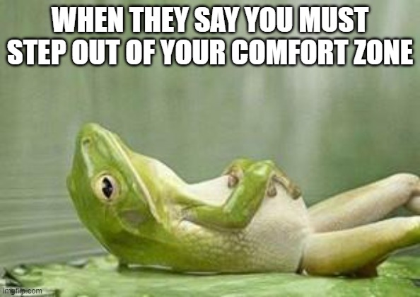 relax frog | WHEN THEY SAY YOU MUST STEP OUT OF YOUR COMFORT ZONE | image tagged in relax frog | made w/ Imgflip meme maker