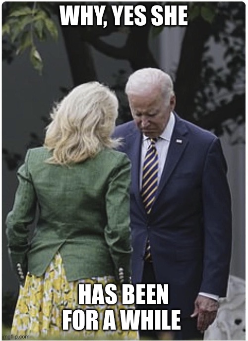 Jill scolds Joe Biden and he pouts | WHY, YES SHE HAS BEEN FOR A WHILE | image tagged in jill scolds joe biden and he pouts | made w/ Imgflip meme maker