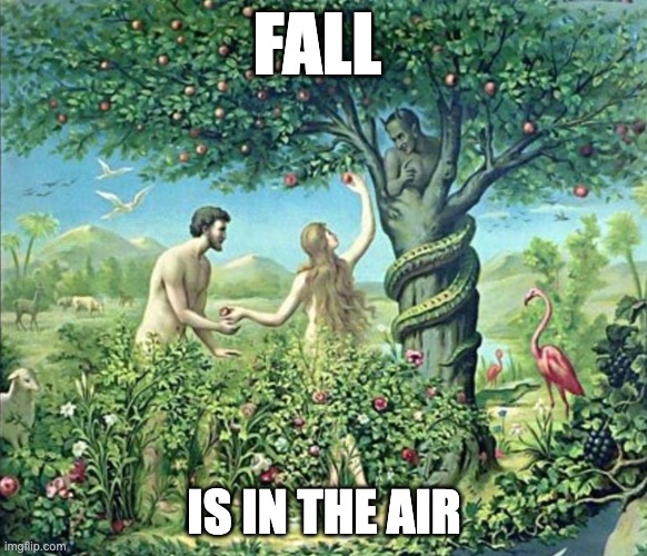 Fall Is in the Air | FALL; IS IN THE AIR | image tagged in fall,autumn,adam and eve | made w/ Imgflip meme maker