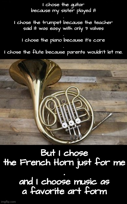 Music is Best as Self Expression | I chose the guitar
because my sister played it
.
I chose the trumpet because the teacher said it was easy with only 3 valves
.
I chose the piano because it's core
.
I chose the flute because parents wouldn't let me. But I chose the French Horn just for me
.
and I choose music as a favorite art form | image tagged in music,art | made w/ Imgflip meme maker