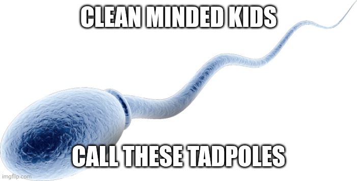 gah | CLEAN MINDED KIDS; CALL THESE TADPOLES | image tagged in sperm cell | made w/ Imgflip meme maker