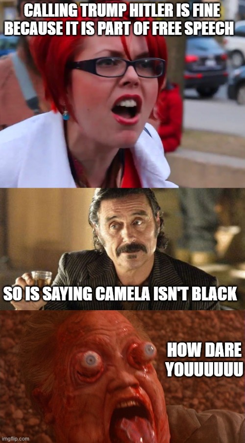 If the tables were turned , they would be prosecuting anyone using terms that seemed to put the dems in danger. | CALLING TRUMP HITLER IS FINE BECAUSE IT IS PART OF FREE SPEECH; SO IS SAYING CAMELA ISN'T BLACK; HOW DARE YOUUUUUU | image tagged in stupid liberals,freedom,funny memes,political humor,donald trump approves | made w/ Imgflip meme maker