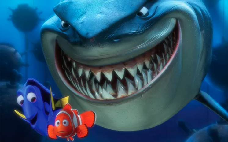 Finding Nemo, shark stalks fish Blank Meme Template