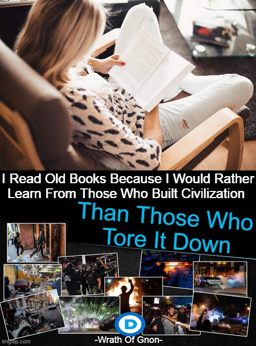 Truth in a Meme | I Read Old Books Because I Would Rather Learn From Those Who Built Civilization; Than Those Who 
Tore It Down; -Wrath Of Gnon- | image tagged in history,old books,civilization,america,learning,destruction | made w/ Imgflip meme maker