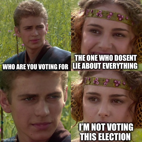 Anakin Padme 4 Panel | WHO ARE YOU VOTING FOR; THE ONE WHO DOSENT LIE ABOUT EVERYTHING; I’M NOT VOTING THIS ELECTION | image tagged in anakin padme 4 panel | made w/ Imgflip meme maker