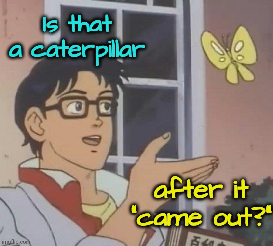 It's a Bad Joke | Is that a caterpillar; after it "came out?" | image tagged in bad joke,butterfly man | made w/ Imgflip meme maker