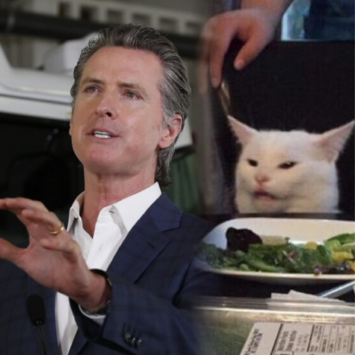 Newsom and Smudge Blank Meme Template