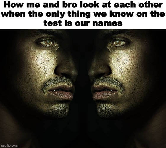 How me and bro look at each other
when the only thing we know on the
test is our names | image tagged in funny,memes,lmao | made w/ Imgflip meme maker