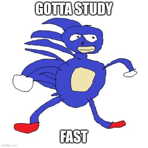 GOTTA STUDY FAST | image tagged in sanic | made w/ Imgflip meme maker