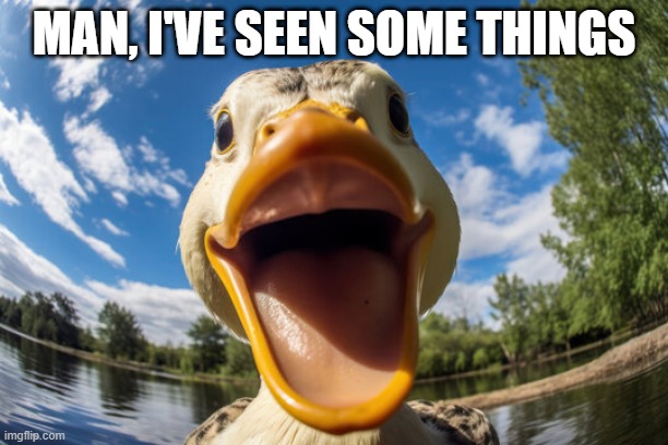 Trippy Duck | MAN, I'VE SEEN SOME THINGS | image tagged in ducks | made w/ Imgflip meme maker