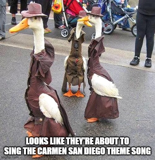 IYKYK Ducks | LOOKS LIKE THEY'RE ABOUT TO SING THE CARMEN SAN DIEGO THEME SONG | image tagged in ducks | made w/ Imgflip meme maker