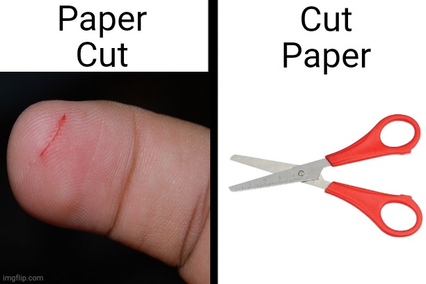 Makes sense | Paper
Cut; Cut
Paper | image tagged in lol | made w/ Imgflip meme maker