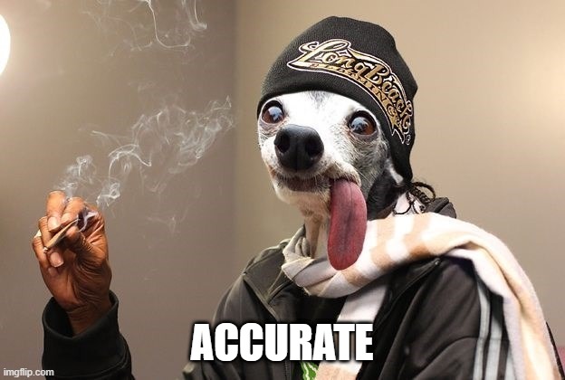 Snoop Dog | ACCURATE | image tagged in dogs | made w/ Imgflip meme maker