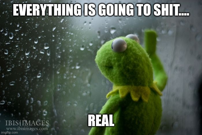 kermit window | EVERYTHING IS GOING TO SHIT.... REAL | image tagged in kermit window | made w/ Imgflip meme maker