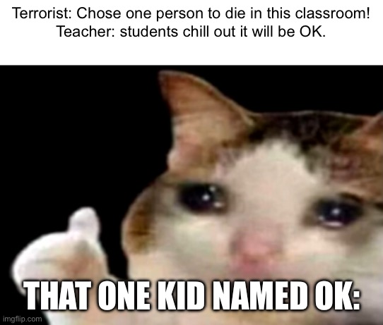 Bruh | Terrorist: Chose one person to die in this classroom!
Teacher: students chill out it will be OK. THAT ONE KID NAMED OK: | image tagged in sad cat thumbs up,memes,funny memes,school,school shooting | made w/ Imgflip meme maker