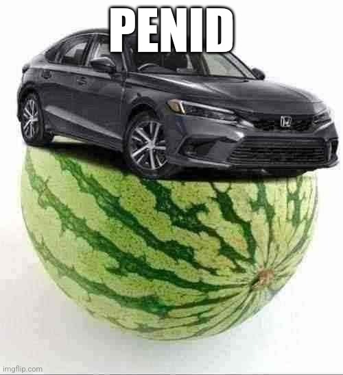 CivicMelon | PENID | image tagged in civicmelon | made w/ Imgflip meme maker