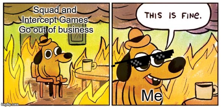 This Is Fine Meme | Squad and 
Intercept Games 
Go out of business; Me | image tagged in memes,this is fine | made w/ Imgflip meme maker