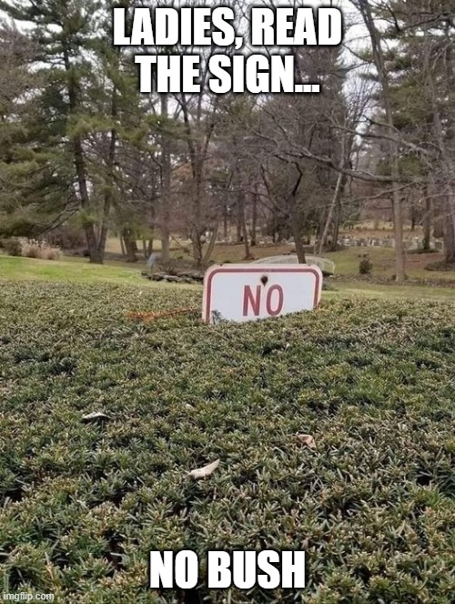 Shave! | LADIES, READ THE SIGN... NO BUSH | image tagged in sex jokes | made w/ Imgflip meme maker