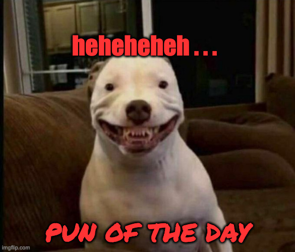 Dog With Weird Mouth And Small Eyes | heheheheh . . . PUN OF THE DAY | image tagged in dog with weird mouth and small eyes | made w/ Imgflip meme maker