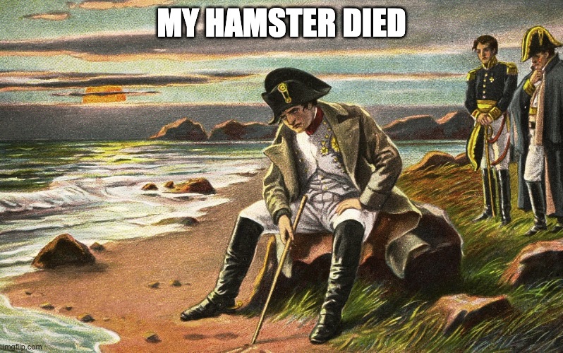 Napoleon | MY HAMSTER DIED | image tagged in napoleon | made w/ Imgflip meme maker