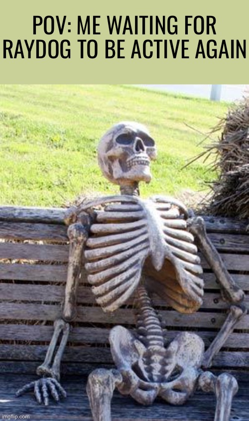 Waiting Skeleton | POV: ME WAITING FOR RAYDOG TO BE ACTIVE AGAIN | image tagged in memes,waiting skeleton | made w/ Imgflip meme maker