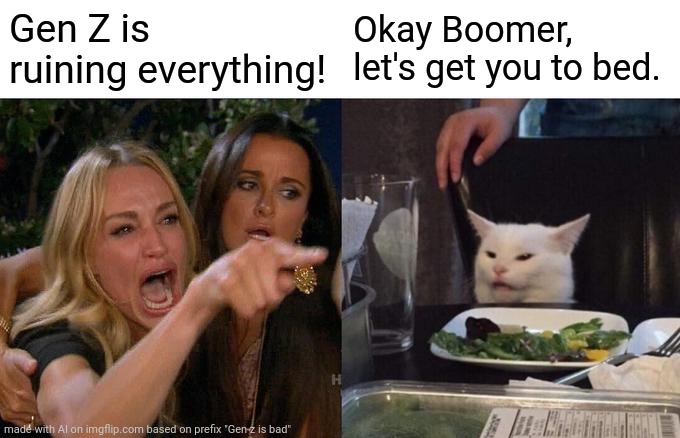 Woman Yelling At Cat | Gen Z is ruining everything! Okay Boomer, let's get you to bed. | image tagged in memes,woman yelling at cat | made w/ Imgflip meme maker