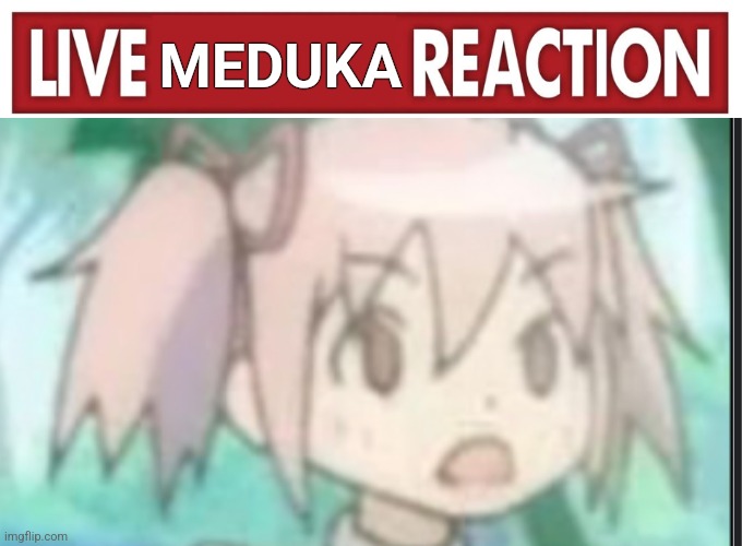 Live reaction | MEDUKA | image tagged in live reaction,puella magi madoka magica,anime meme,anime girl,anime memes,memes | made w/ Imgflip meme maker