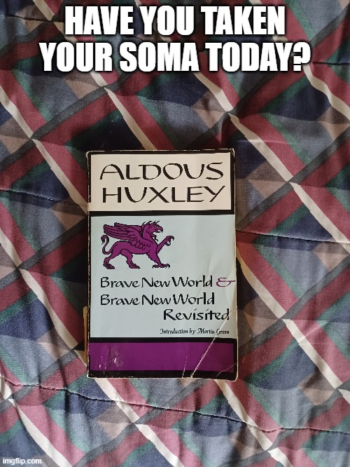 HAVE YOU TAKEN YOUR SOMA TODAY? | made w/ Imgflip meme maker