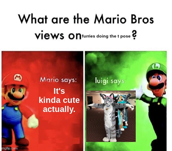 Mario Bros Views | It's kinda cute actually. furries doing the t pose | image tagged in mario bros views | made w/ Imgflip meme maker