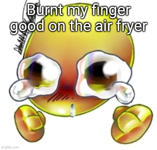 Ggghhhhhghghghhhgh | Burnt my finger good on the air fryer | image tagged in ggghhhhhghghghhhgh | made w/ Imgflip meme maker