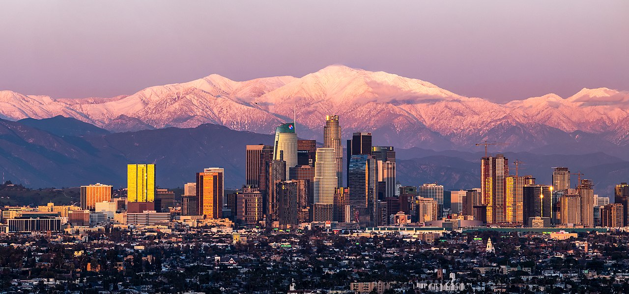 Los Angeles Blank Meme Template