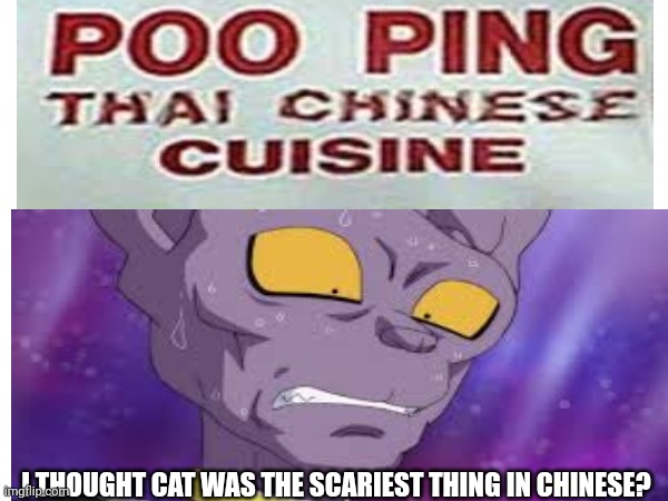 Goku  is this true?!?!! | I THOUGHT CAT WAS THE SCARIEST THING IN CHINESE? | image tagged in dbz,beerus,chinese,chinese food | made w/ Imgflip meme maker