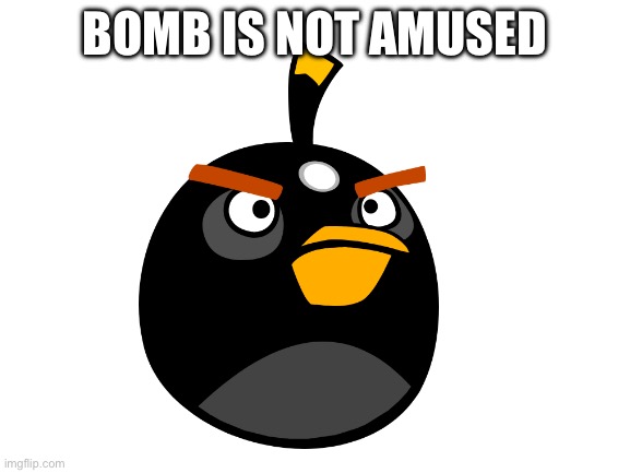 Blank White Template | BOMB IS NOT AMUSED | image tagged in blank white template | made w/ Imgflip meme maker