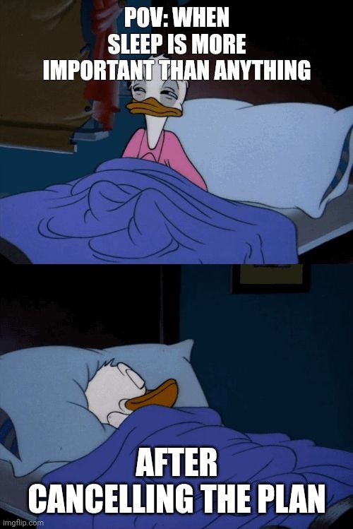 Sleeping | POV: WHEN SLEEP IS MORE IMPORTANT THAN ANYTHING; AFTER CANCELLING THE PLAN | image tagged in sleeping donald duck | made w/ Imgflip meme maker