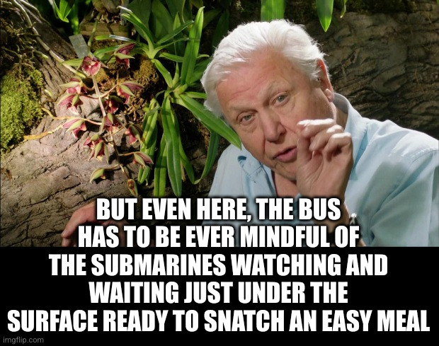 David Attenborough | BUT EVEN HERE, THE BUS HAS TO BE EVER MINDFUL OF THE SUBMARINES WATCHING AND WAITING JUST UNDER THE SURFACE READY TO SNATCH AN EASY MEAL | image tagged in david attenborough | made w/ Imgflip meme maker