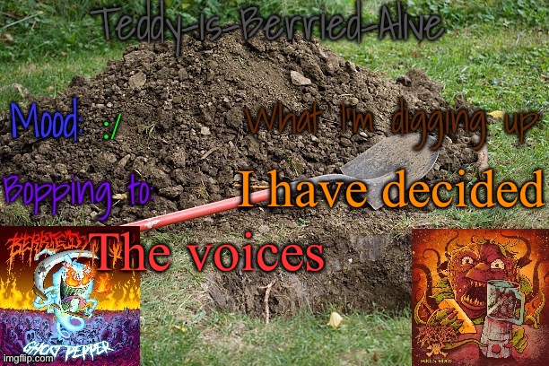 Check the comments | :/; I have decided; The voices | image tagged in teddy-is-berried-alive's template | made w/ Imgflip meme maker