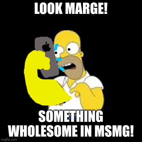 Look Marge | LOOK MARGE! SOMETHING WHOLESOME IN MSMG! | image tagged in look marge | made w/ Imgflip meme maker