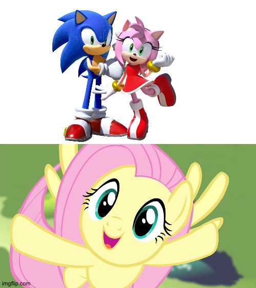 Fluttershy loves Sonic and Amy as a couple | image tagged in very happy fluttershy mlp | made w/ Imgflip meme maker