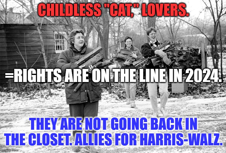 All Americans are = under the law. Keep it thus. | CHILDLESS "CAT," LOVERS. =RIGHTS ARE ON THE LINE IN 2024. THEY ARE NOT GOING BACK IN THE CLOSET. ALLIES FOR HARRIS-WALZ. | image tagged in politics | made w/ Imgflip meme maker