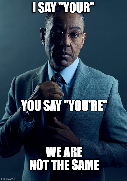 Gus Fring we are not the same | I SAY "YOUR"; YOU SAY "YOU'RE"; WE ARE NOT THE SAME | image tagged in gus fring we are not the same | made w/ Imgflip meme maker