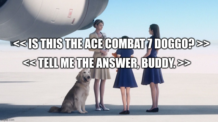 Ace Combat 7: Skies Unknown | << IS THIS THE ACE COMBAT 7 DOGGO? >> << TELL ME THE ANSWER, BUDDY. >> | image tagged in ace combat 7 skies unknown | made w/ Imgflip meme maker