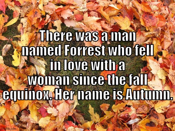 Autumn | There was a man named Forrest who fell in love with a woman since the fall equinox. Her name is Autumn. | image tagged in fall,not forrest gump | made w/ Imgflip meme maker