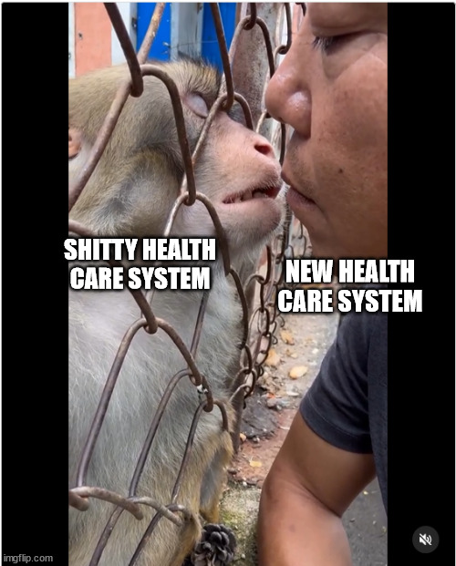 the kissing monkey | SHITTY HEALTH CARE SYSTEM; NEW HEALTH CARE SYSTEM | image tagged in kissing monkey | made w/ Imgflip meme maker