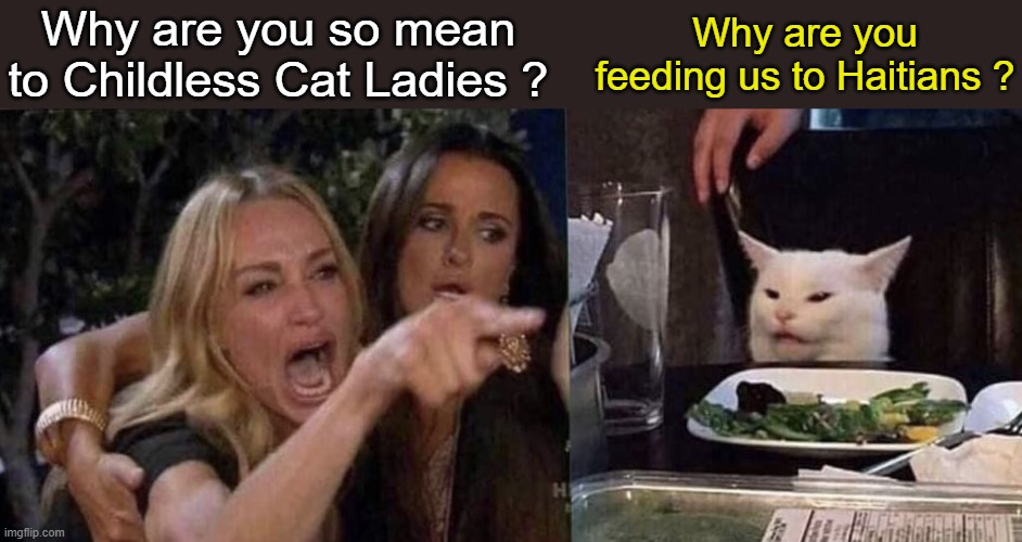 woman yelling at cat | Why are you so mean to Childless Cat Ladies ? Why are you feeding us to Haitians ? | image tagged in woman yelling at cat | made w/ Imgflip meme maker
