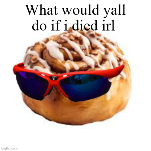 cool ass cinnamon bun | What would yall do if i died irl | image tagged in cool ass cinnamon bun | made w/ Imgflip meme maker